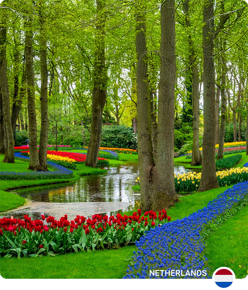 Keukenhof Gardens Guide: Tips for Visiting the Garden of Europe