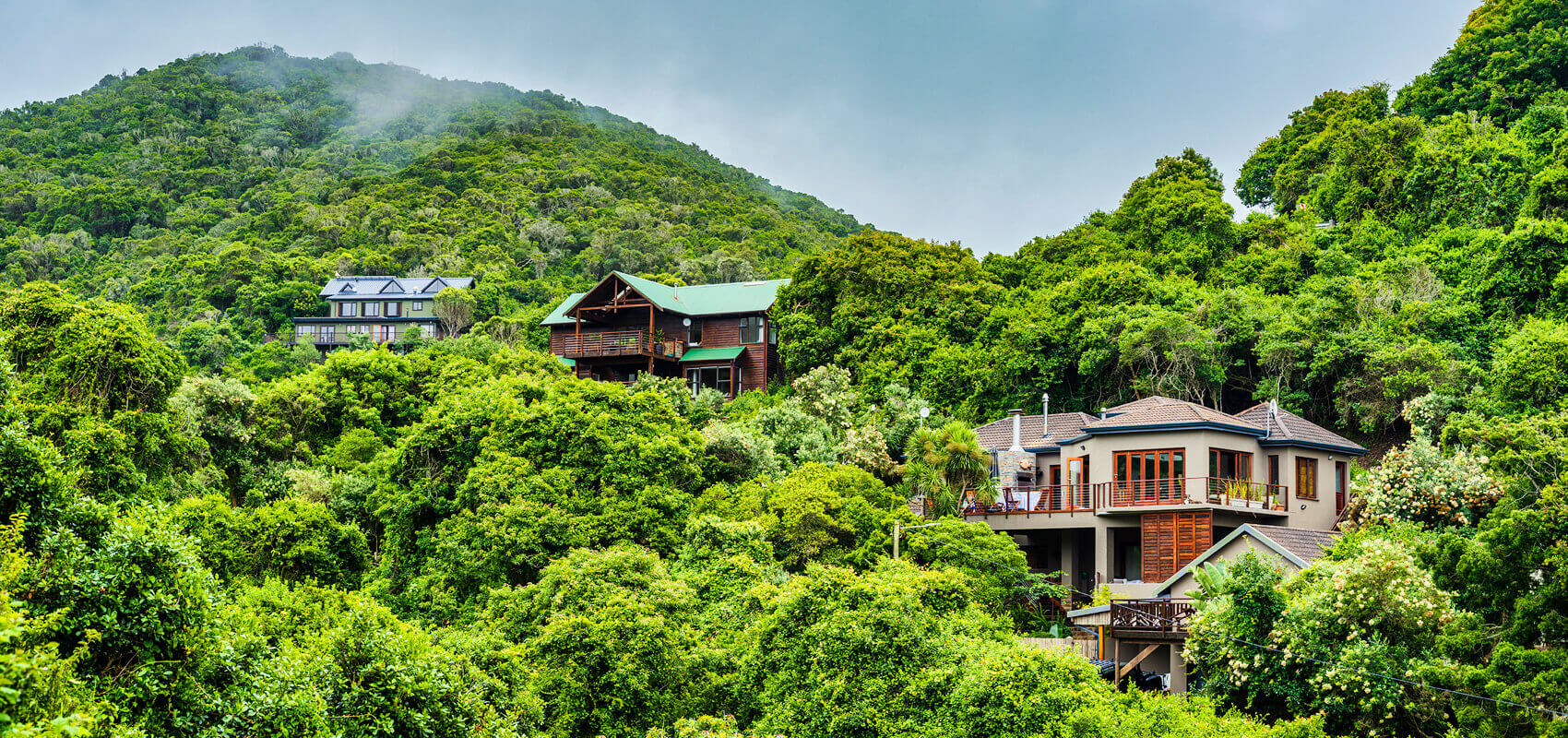 Scenic Wilderness area along South Africa's famous Garden Route