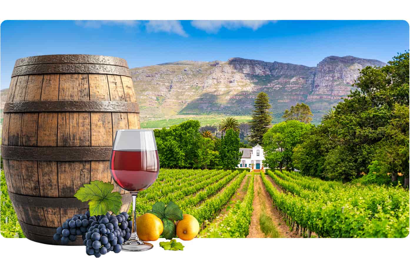 Upcoming Project: A Tourist's Guide to South Africa's Top 10 Wine Estates