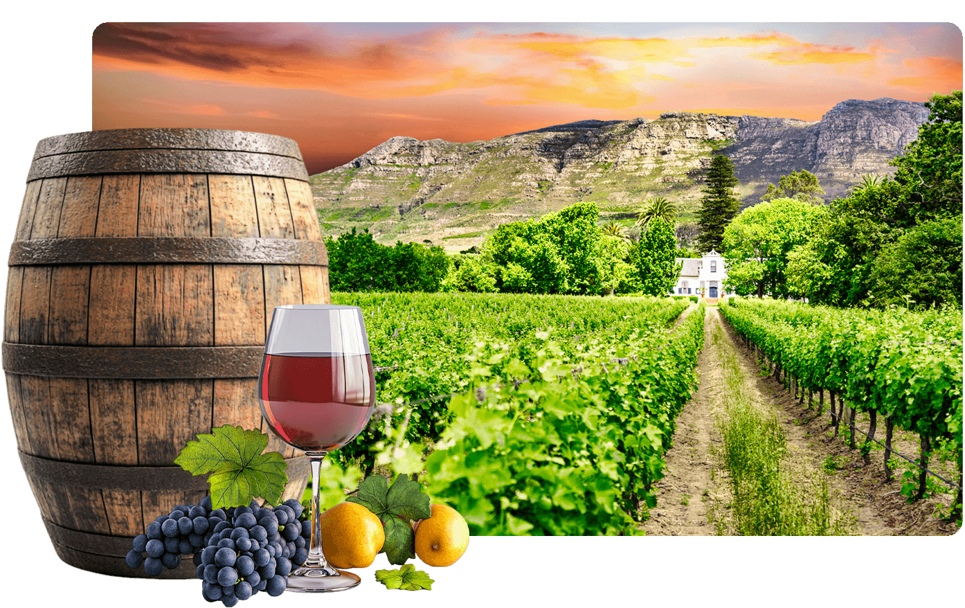 Upcoming Project: A Tourist's Guide to South Africa's Top 10 Wine Estates